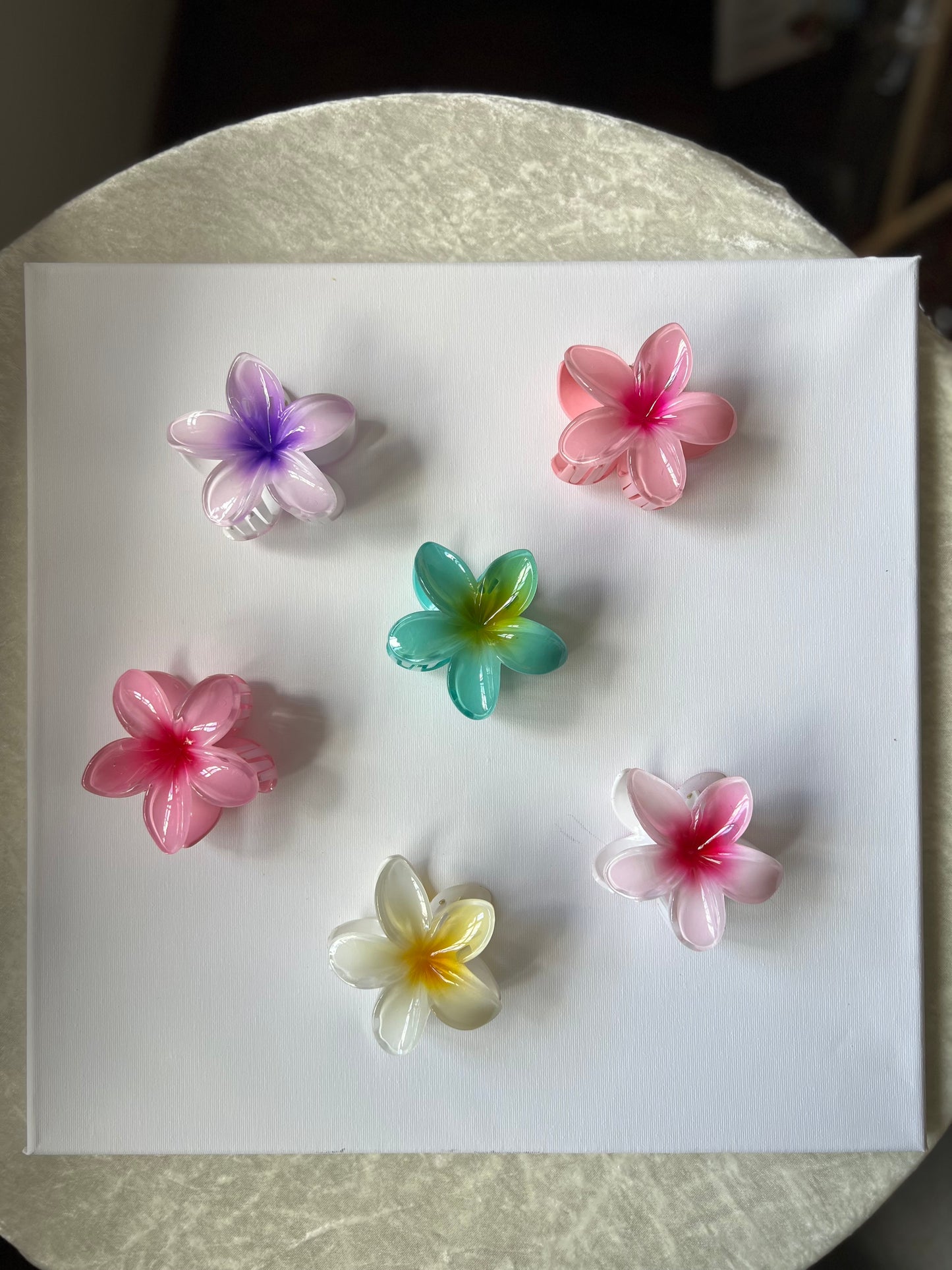 Jaberr floral Hair clip