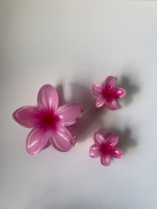 Jaberr floral Hair clip